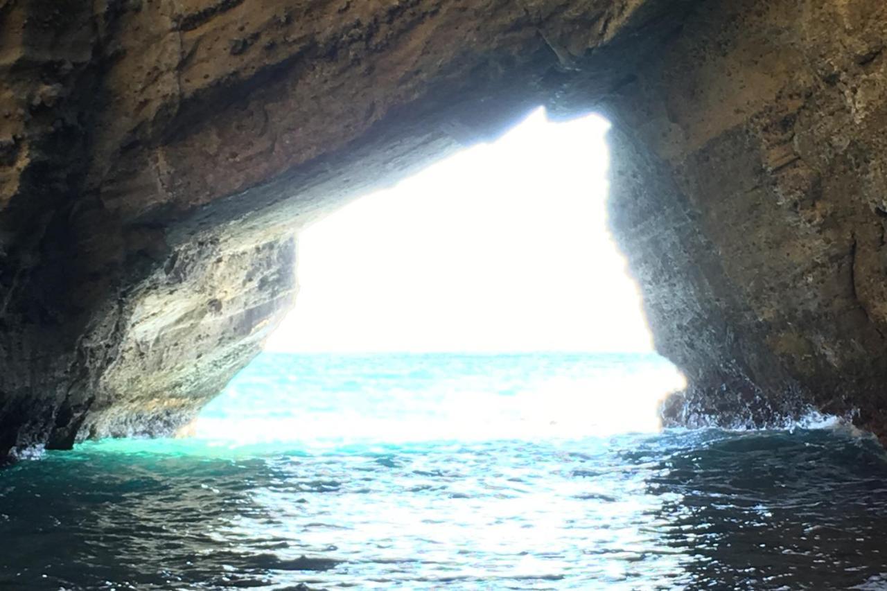 إيتو Rinkangekijo المظهر الخارجي الصورة